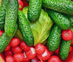 Harvest. Vegetables from the garden. Cucumbers, radishes, tomatoes. Veganism and raw food diet, healthy vegetables for spring salad.