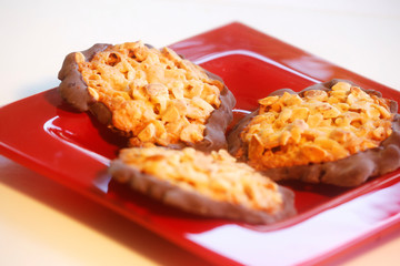 Closeup of Florentiner Cookies on a background