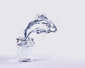 Water Fish Jumping out of Jar