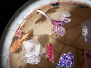 Flower tea for breakfast. Spring. Macro vision. Herbal tea