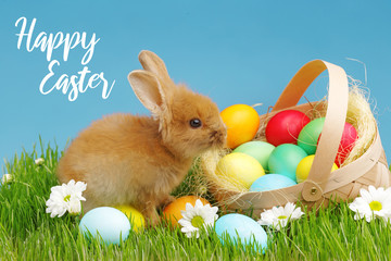 Little Bunny In Basket With Decorated Eggs. Easter Holyday Concept.