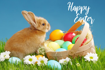 Little Bunny In Basket With Decorated Eggs. Easter Holyday Concept.