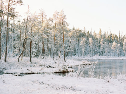 river in winter forest
