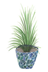 hand drawn plant in pot 