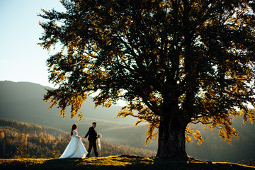 Fiance and his bride standing together near the big tree at the nature