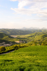 Fototapeta premium Amazing green landscape in central Italy, in Umbria between Gubbio and Assisi. Here the land is highly cultivated and there are a lot of beautiful old trees and many footpaths to walk in the nature