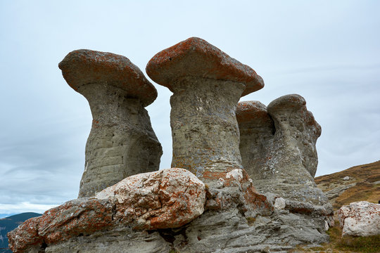 Babele Natural Monument, stone in the Bucegi Natural Park in Romania. Megaliths on top of a mountain range, tourist attraction.