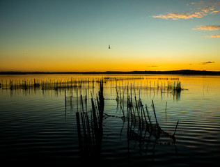 Fototapeta na wymiar Fishing net in the Albufera de Valencia, sunset