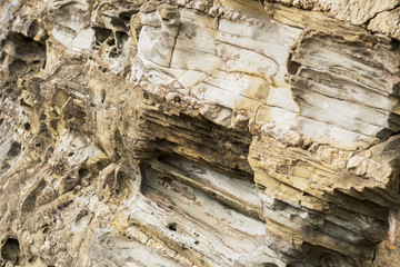 Beautiful sea rocks on the coast of the Pacific ocean