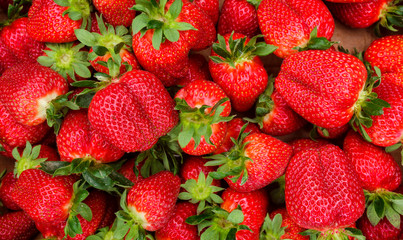 Fresh strawberry background. Fresh organic berries close-up. Fruit background