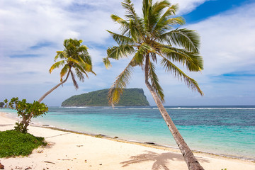 Obraz na płótnie Canvas tropical beach with palm trees in the Republich of Samoa, Polynesia