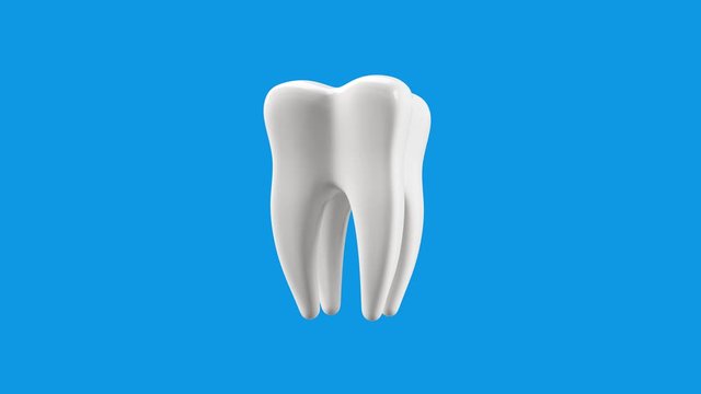 4K animation of a bright white molar tooth on a light blue background