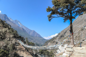 One of many pedestrian suspension bridges with waving prayer flags in Himalayas on the way to Everest Base Camp in Nepal. Coniferous tree near the bridge. Clear blue sky. - obrazy, fototapety, plakaty