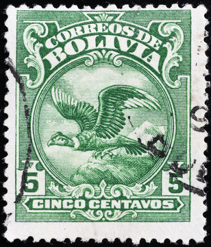 Andean condor on ancient bolivian postage stamp
