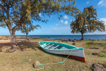 Tropical Landscape on the remote island of Rodrigue in the Indian Ocean, part of the Republik of...