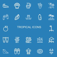Editable 22 tropical icons for web and mobile
