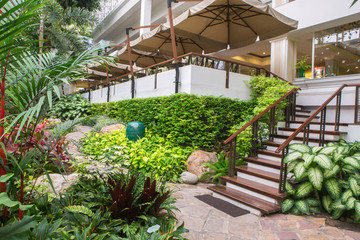 tropical garden with palm trees