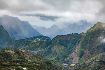 tropical rainforest on Reunion Island, French departement in the Indian Ocean
