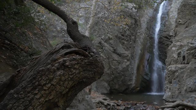 Troodos Waterfalls with an old tree on the foreground