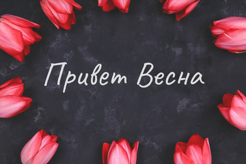 Hello spring text sign. Stylish pink tulips on black rustic background top view.