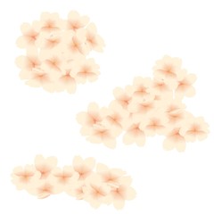 桜の花の飾りセット