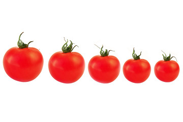 Ripe juicy tomatoes on a white background