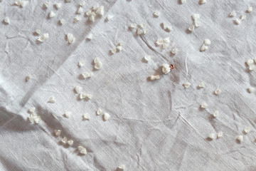 fallen petals on white textile tablecloth