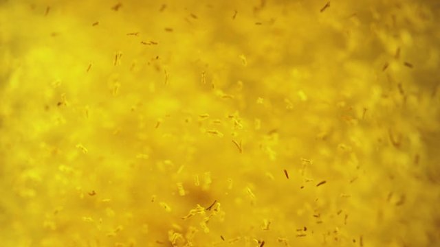 Macro footage of kettle full of tea inside, chamomile tea
