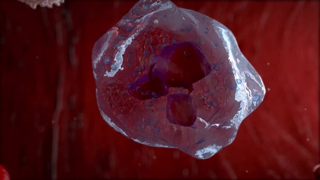 medical industry visualization of cells or red blood cells inside of a vessel