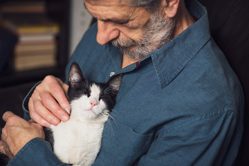 Senior man petting his cat on a sofa - obrazy, fototapety, plakaty