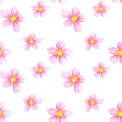Fototapeta na wymiar Seamless pattern with pink sakura flower 