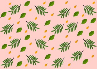 Seamless Pattern Floral Illustration