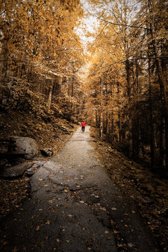 Mann in roter Jacke wandert durch den herbstlichen wald