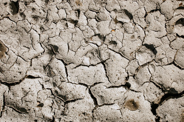 Abstract texture of broken dry ground