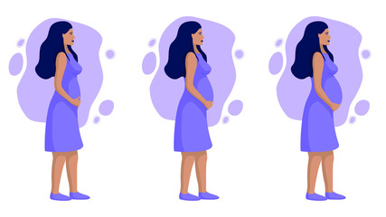 Pregnant woman in trimesters, dressed in a dress, vector illustration in purple colors