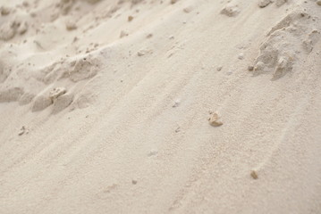 Sand Texture. Sandy For Background