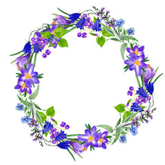Field violet flowers wreath with crocus, hand drawn watercolor
