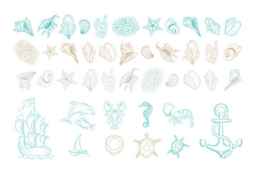 Marine line art vector icons of sea shells, anchor and mollusks. Hand drawn hatching design set of marine seashell, seahorse, dolphin fish and turtle, anchor and buoy, corals, shrimp and yacht ship - 335350289
