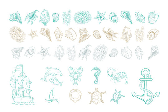 Marine line art vector icons of sea shells, anchor and mollusks. Hand drawn hatching design set of marine seashell, seahorse, dolphin fish and turtle, anchor and buoy, corals, shrimp and yacht ship