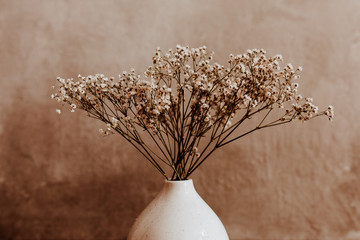 Witte wilde gedroogde bloem in witte keramische vaas close-up op bruine achtergrond