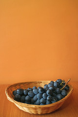 Vertical Image of Bunch of Ripe Blue Table Grapes in a Basket with Orange Wall in Background