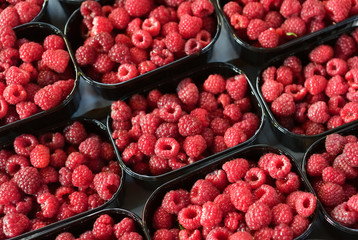 Red raspberries in baskets on a stand at a farmers market, top view