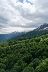 mountains of Russia in summer in Sochi in Krasnaya Polyana                               