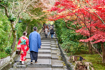 Lovely couple in kimono walking in autumn park