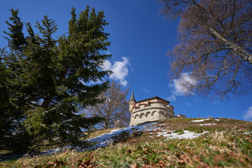 Fototapeta na wymiar Einzelner Turm der Burg Lichtenstein von unten fotografiert
