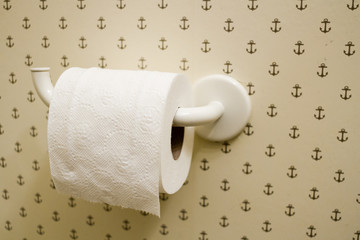 roll of toilet paper on wall
