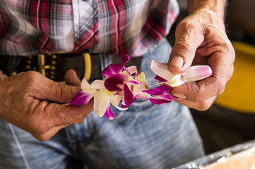 ハワイ　新鮮なレイ　花飾り