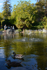 SAN JOSE, CALIFORNIA, USA - OCTOBER 6, 2019: Japanese Friendship Garden