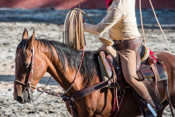 Montando a caballo © fforriol