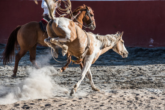 Montando a caballo